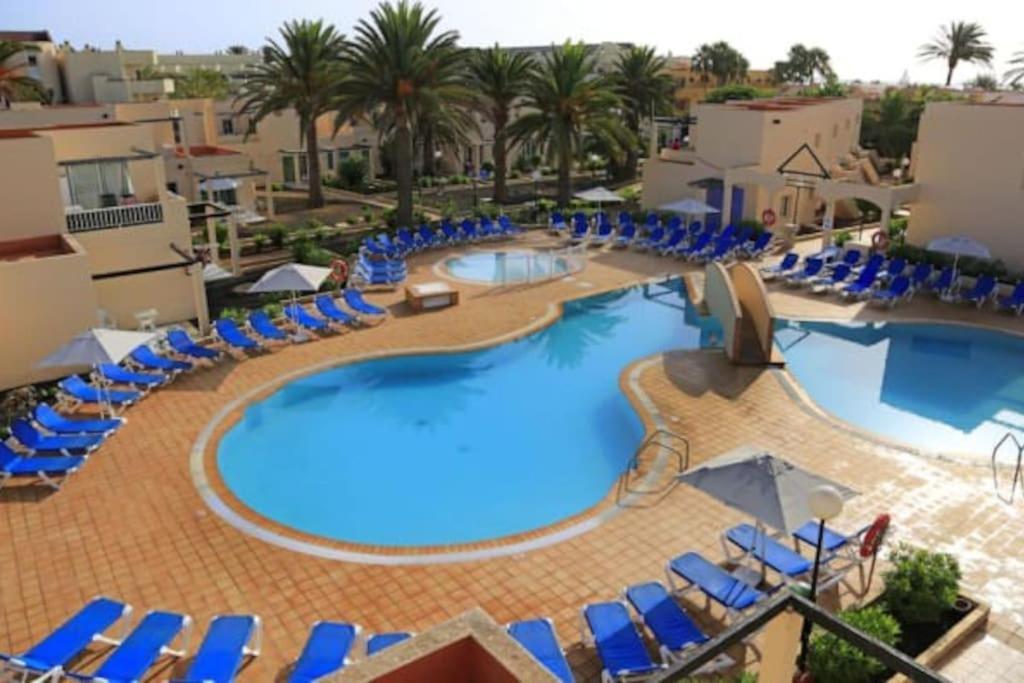 Corralejo Suite Pool & Gardens - Alisios Playa エクステリア 写真