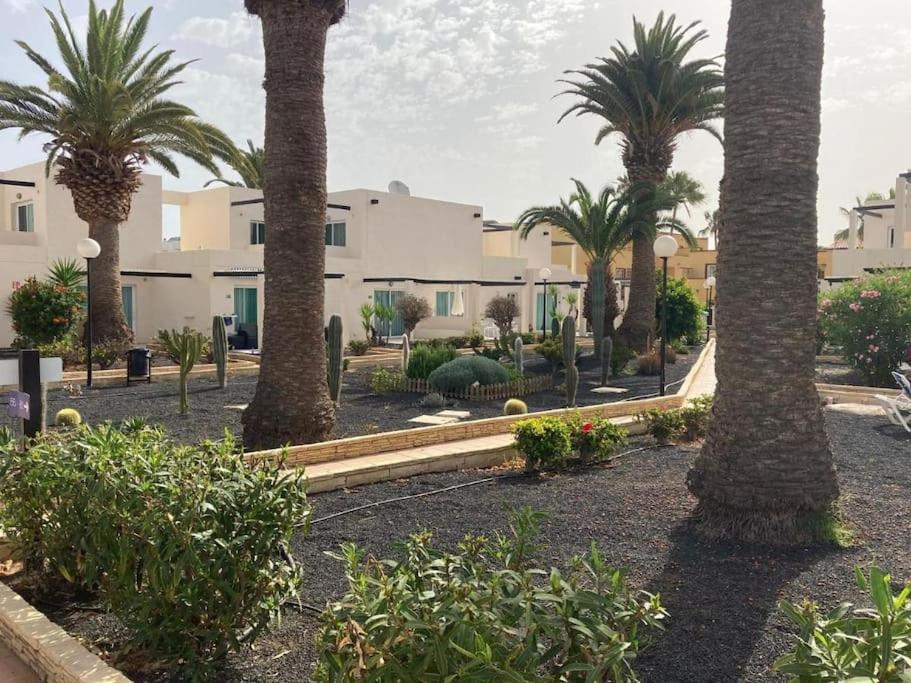 Corralejo Suite Pool & Gardens - Alisios Playa エクステリア 写真