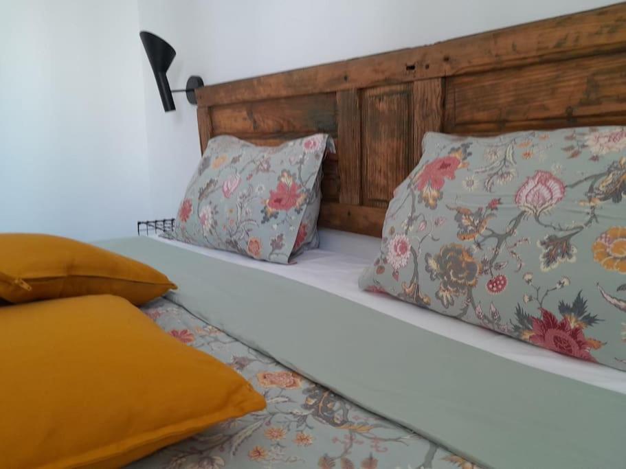 Corralejo Suite Pool & Gardens - Alisios Playa エクステリア 写真