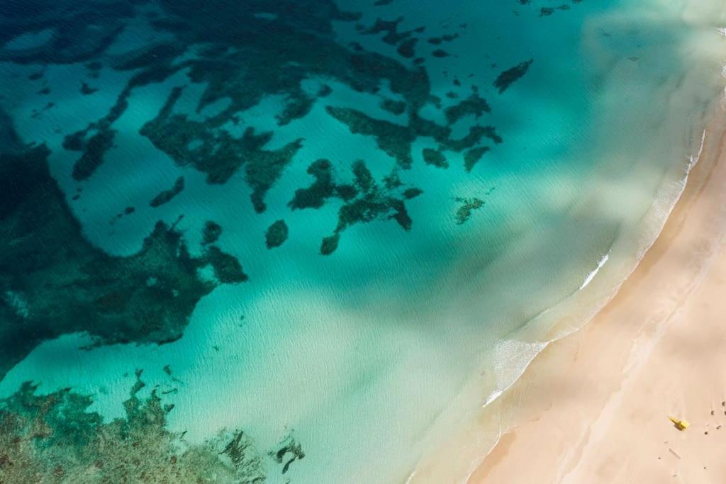 Corralejo Suite Pool & Gardens - Alisios Playa エクステリア 写真