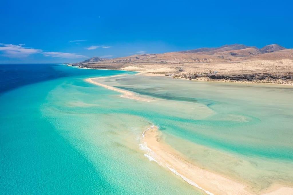 Corralejo Suite Pool & Gardens - Alisios Playa エクステリア 写真